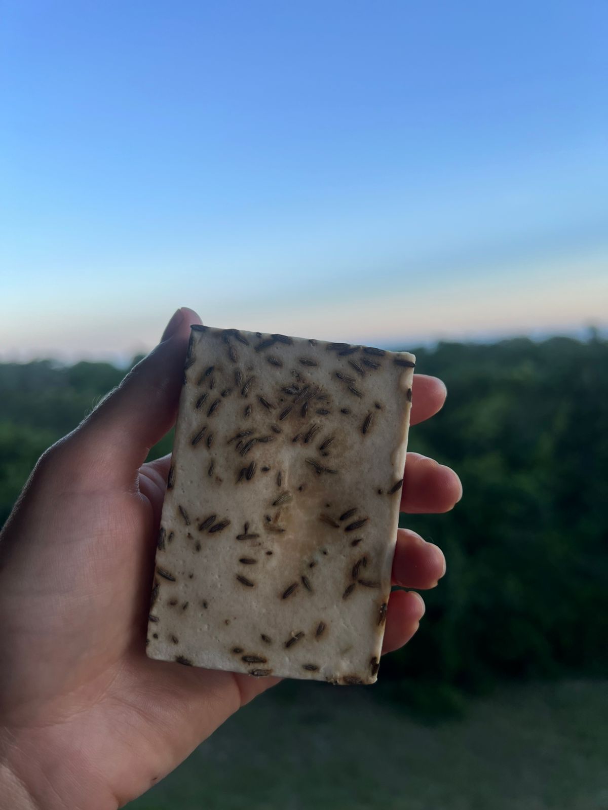 gamtoos handmade soap size