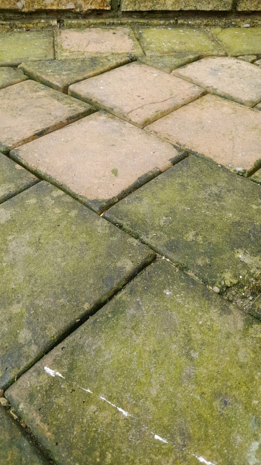 kouga clearwash property cleaning 004